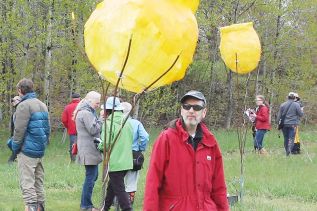 The yellow receptacles represent bumblebee nectar pods with different bee sounds emanating from each one. “Depending on where you stand, you hear different things,” said Hegel - photo Craig Bakay